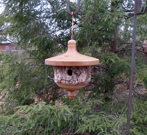 Birdhouse, Large Elm Bark Turned Usable Birdhouse