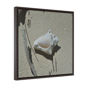 ON THE BEACH! - US MADE - Square Framed Premium Galery Wrap Canvas -- Remote & Pristine Mona Island near Puerto Rico - beach stuff moved by the tides - great beach reminders... - Yunque Store