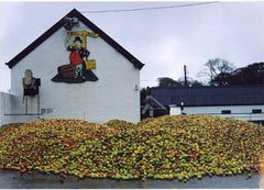 THE HISTORY OF OUR PROPER DEVON CIDER