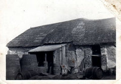 THE HISTORY OF OUR PROPER DEVON CIDER