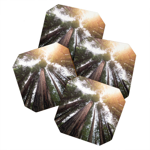 Nature Magick Redwood Forest Sky Coaster Set