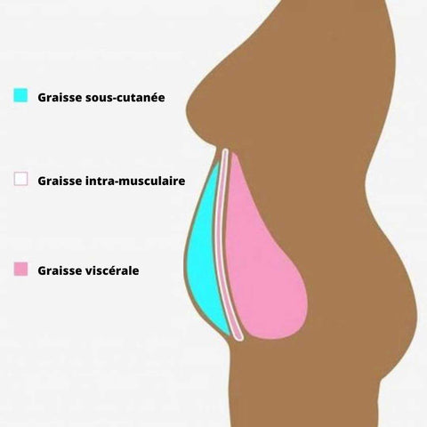 graisse abdominale