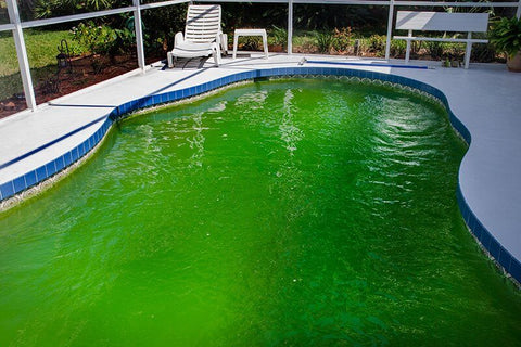 green swimming pool