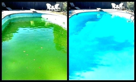pool needing shock before and after