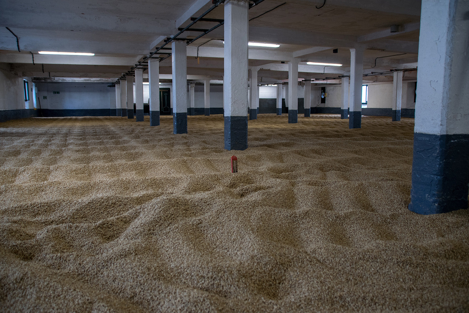 Malt in Malting House to make Whisky