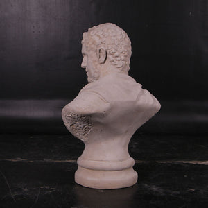 Nero Stone Bust Life Size Statue - LM Treasures Life Size Statues & Prop Rental