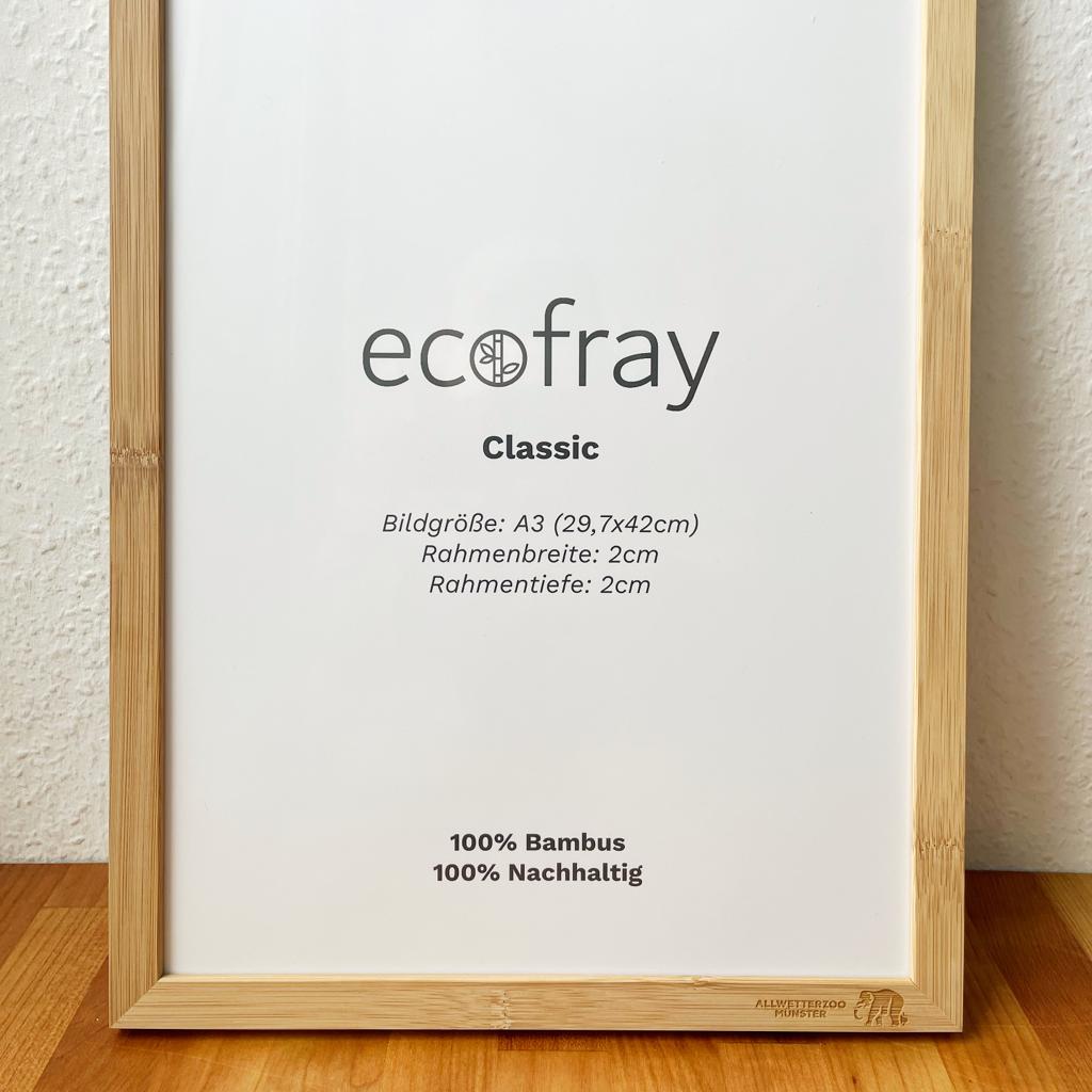 Personalisierte Bilderrahmen für Hochzeiten und Events – Ecofray