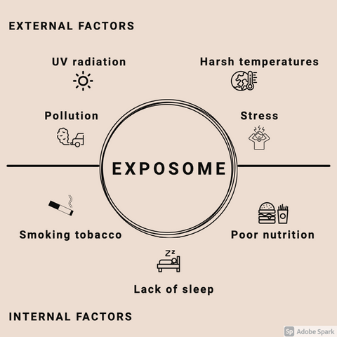Skin exposome; why it's important and how can you stop premature ageing?