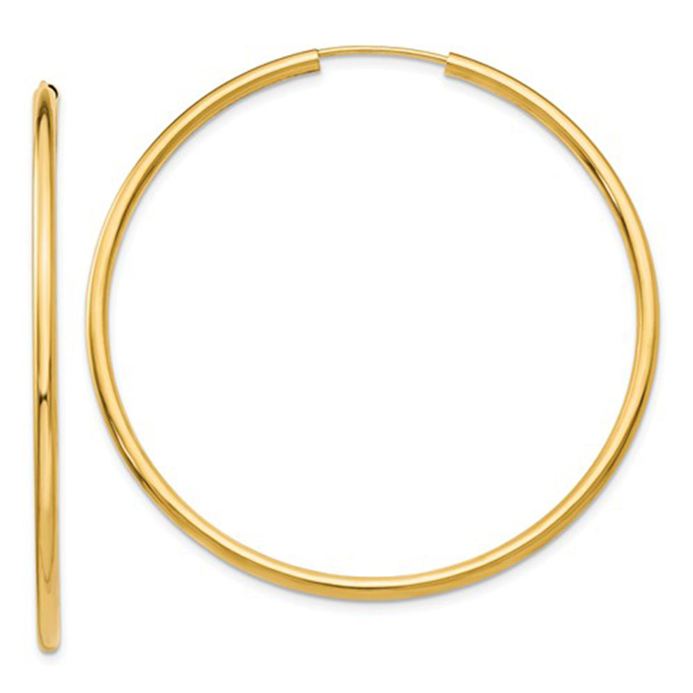 14k Yellow Gold Endless Hoop Earrings (2mm), All Sizes