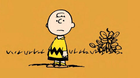 Charlie Brown