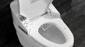 toilette lavante