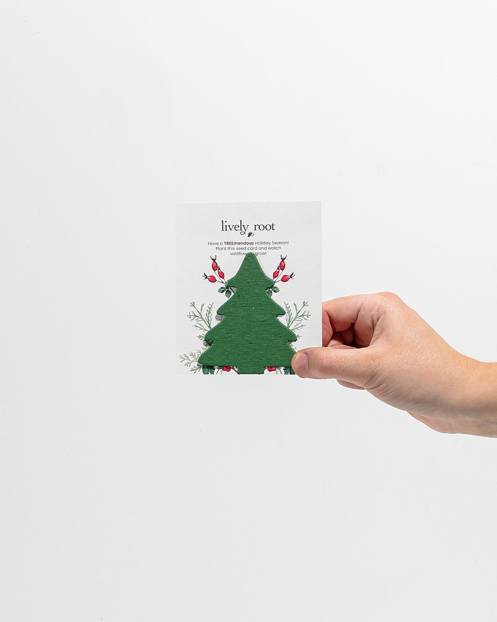 AC Holiday Seed Paper Cards 01 86056053 12e2 440a 8592 cd04dcb73227