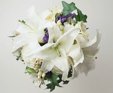 Peace Lily - the Perfect Gift