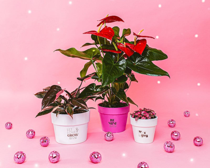 Personalized Flower Pots
