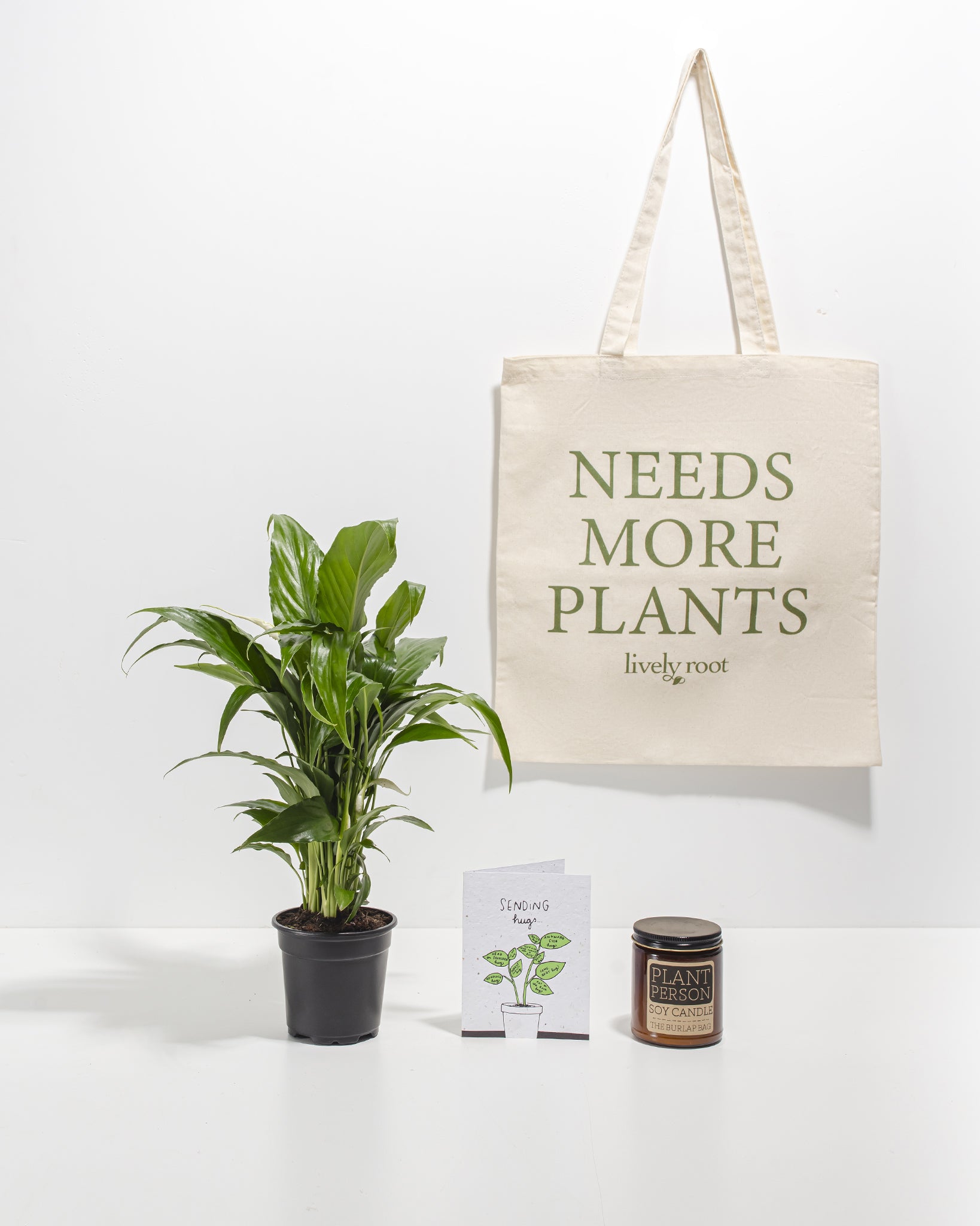 Pl 4in Peace Lily Self Care Package Best Sellers Grower 01