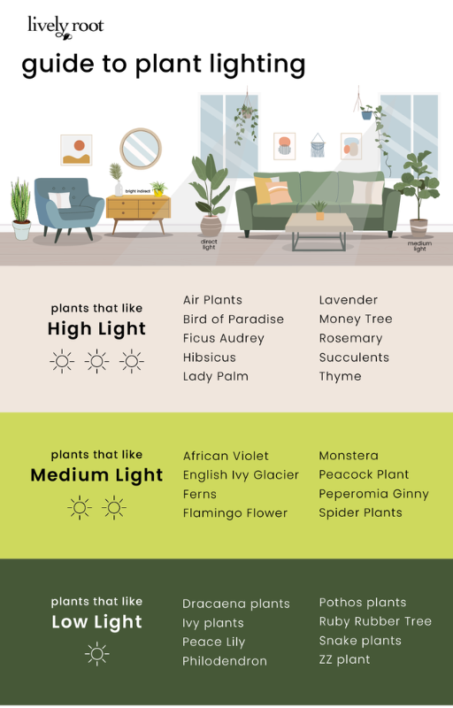 guide to plant lighting