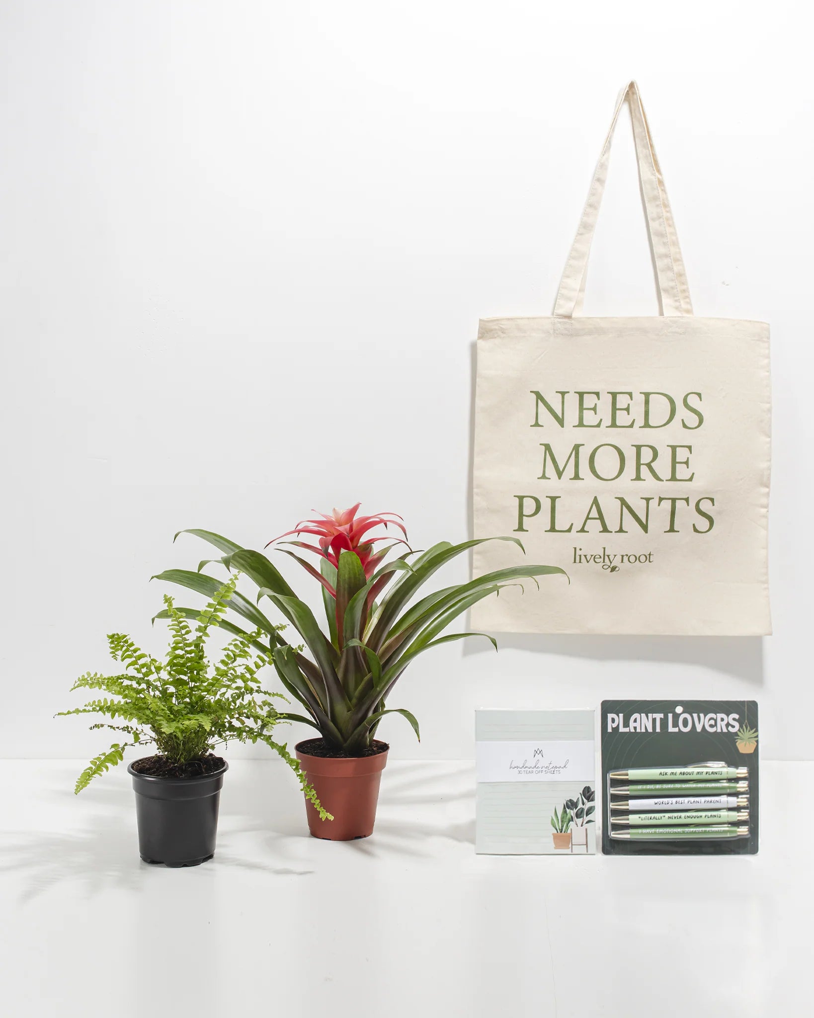 Exotic plant bundle