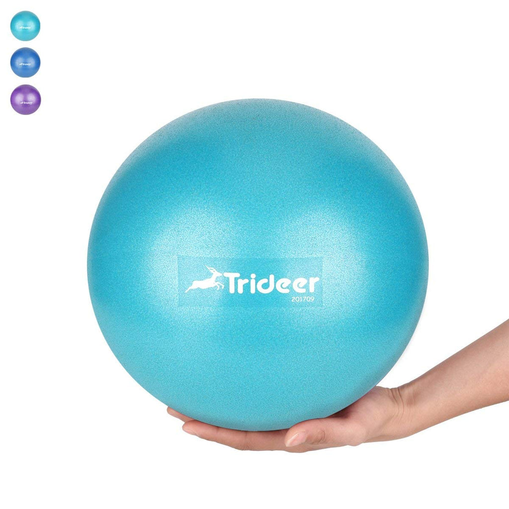 9 inch exercise ball