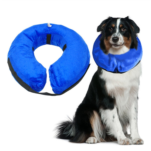 inflatable e collar for dogs