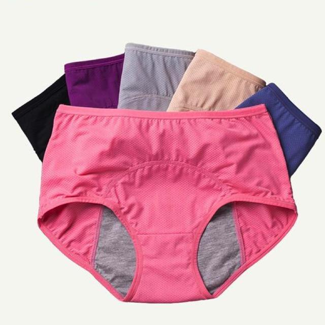 culotte menstruel