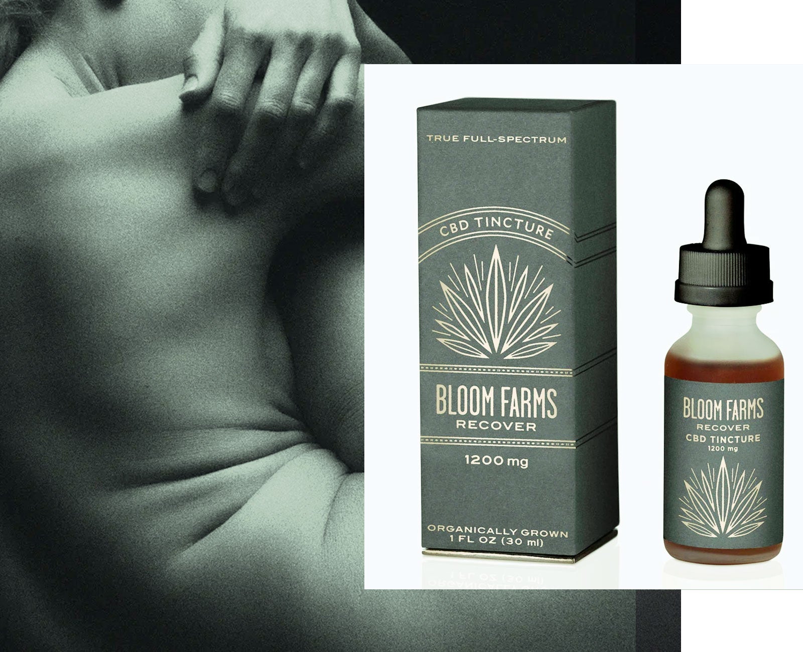 Bloom Farms Recover Tincture for Inflammation