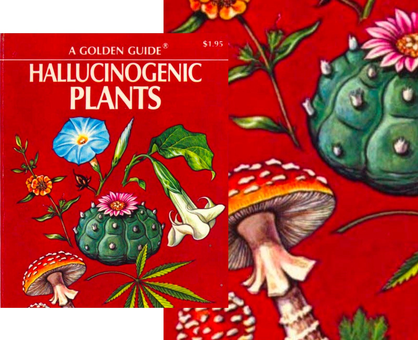 Hallucinogenic Plants 1976 Richard Evans Schultes