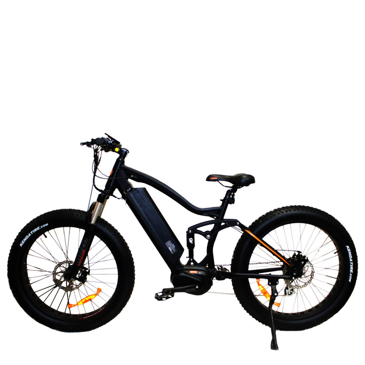 ebike electric bike