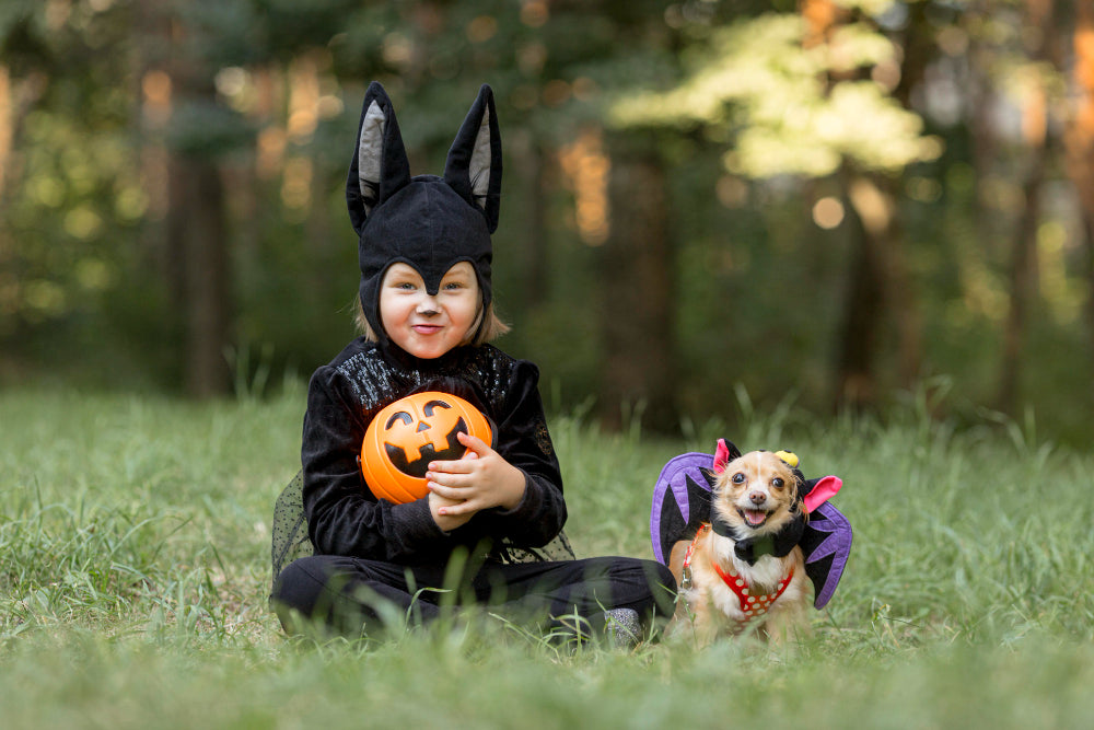 Halloween Games For Dogs