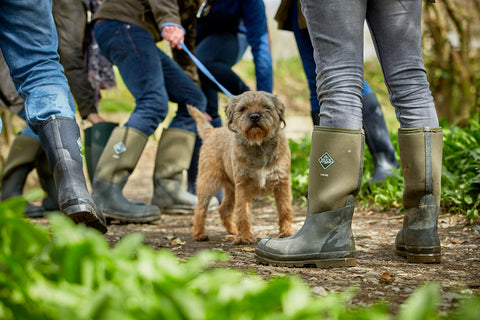best wellington boots for dog walking