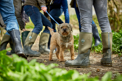 best footwear for dog walking