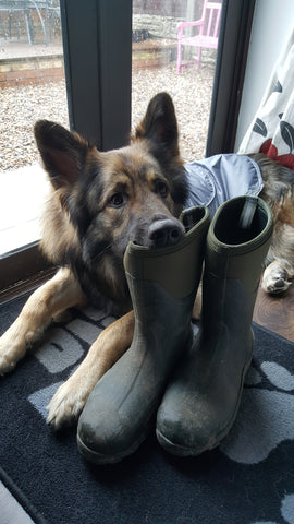 best footwear for dog walking