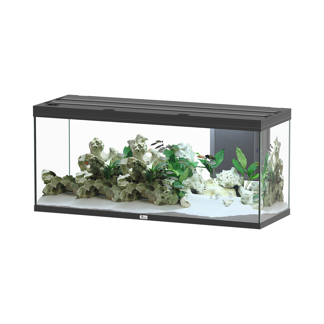 Aquatlantis Volga 450 Aquarium - Black High Gloss - 119 gallons | The ...