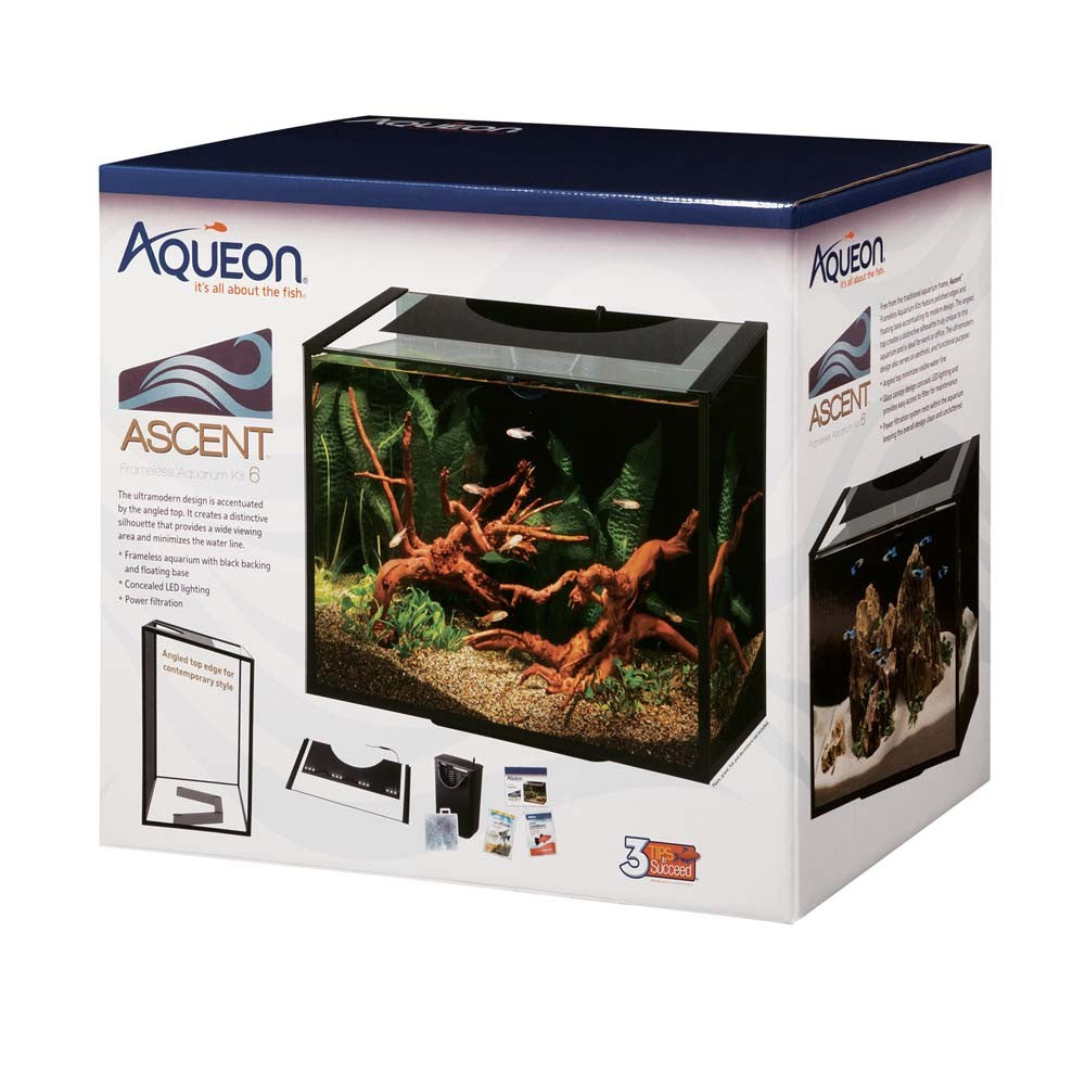 Bot Migratie Traditioneel Aqueon Ascent Frameless LED Aquarium Kit Black - 6 Gallons | The Fish Room