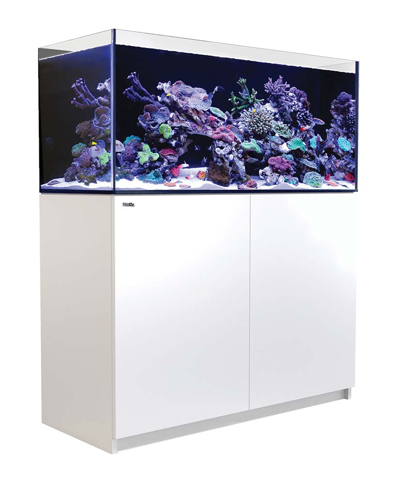 Een hekel hebben aan Wijzerplaat Geldschieter Red Sea REEFER XL 425 G2+ Rimless Aquarium 112 Gallon | The Fish Room