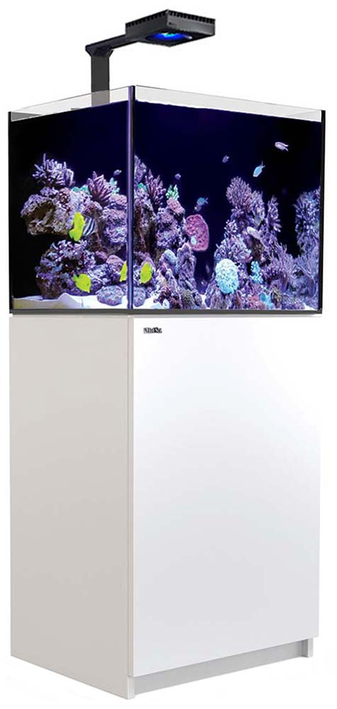 Red Sea Reefer Deluxe Concept 170 G2 Aquarium 34 Gallons With Reefled The Fish Room