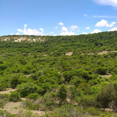 Vue de la plage