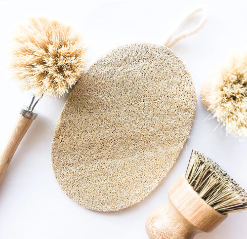 Zero Waste Kitchen and Bath Set - Plant Based Brushes and Loofah