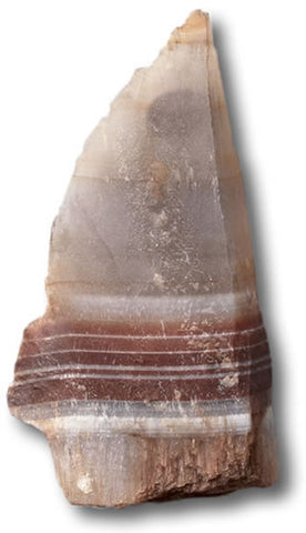 Natural Rough Sardonyx