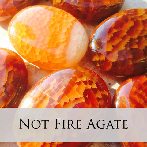 Fire Crackle Agate palms