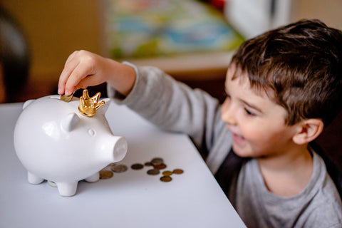 The Mom Store; Blog Post; Financial Literacy to Kids; Photo by Oleksandr P on Pexels