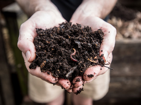 compost hero