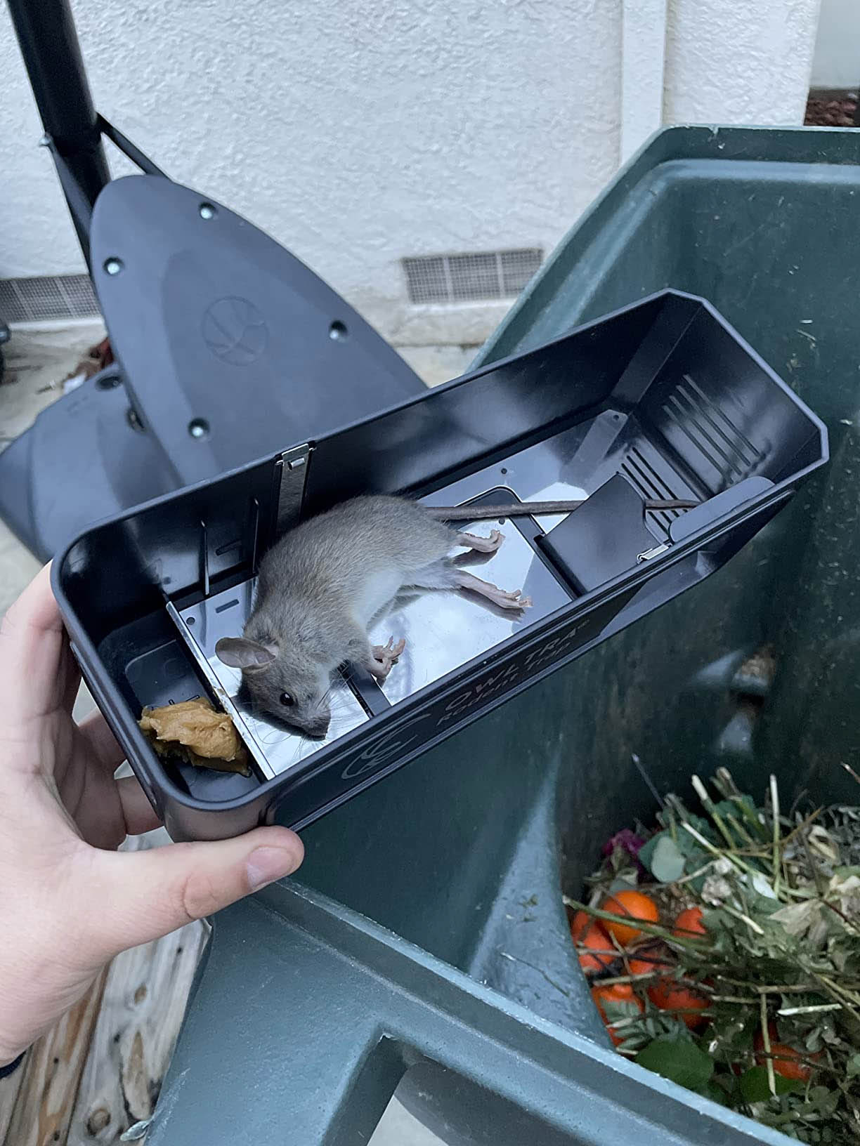Humane Battery-Powered Easy-to-Clean No-Touch Instant-Kill Indoor  Electronic Rat Trap