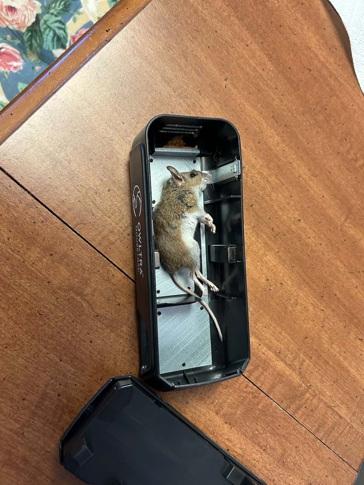 OWLTRA® Electronic Rat Trap - Effective way to get rid of rats