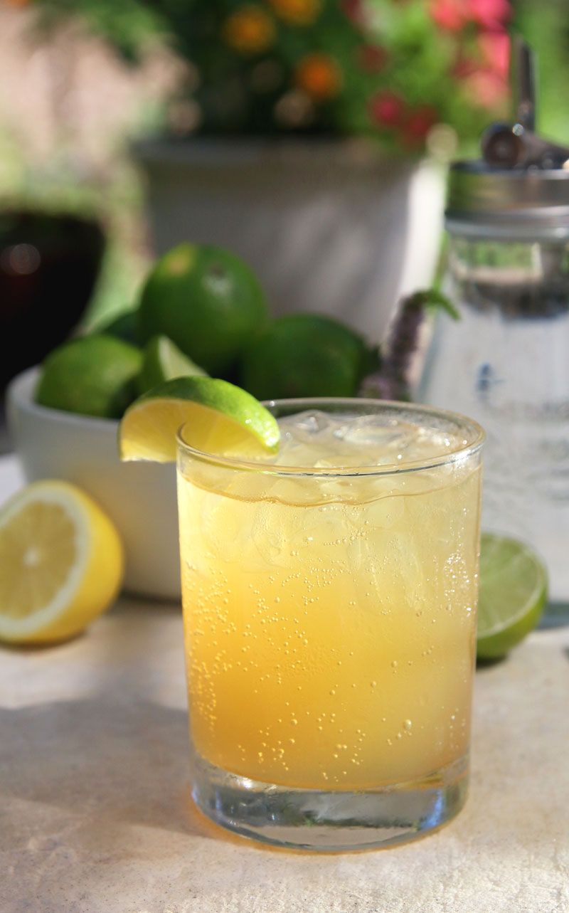 Lemon-Lime-Margarita