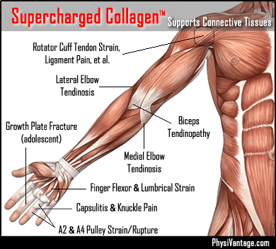 upper body injuries PhysiVantage Supercharged Collagen