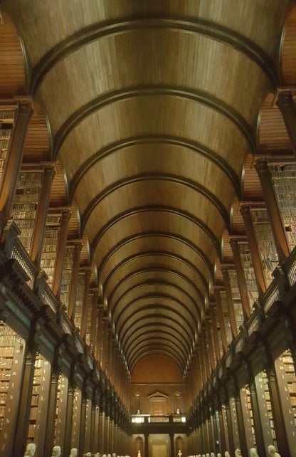 Featured image of post Library Dark Academia Books