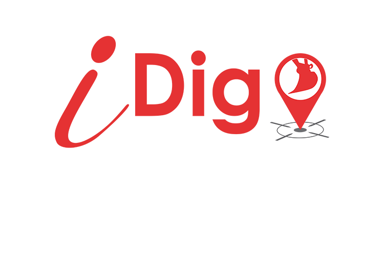 iDig Logo