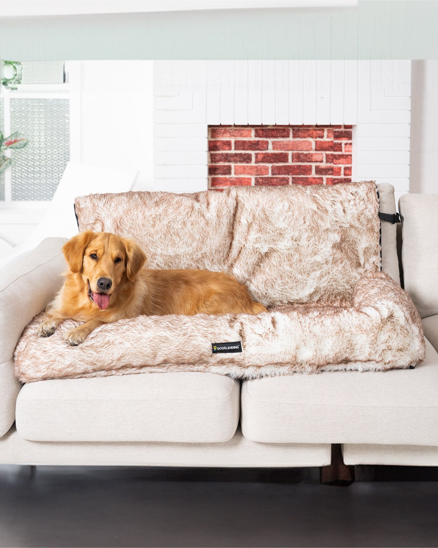 Dogslanding™ PuParadise Couch Cover - Dogslanding product image