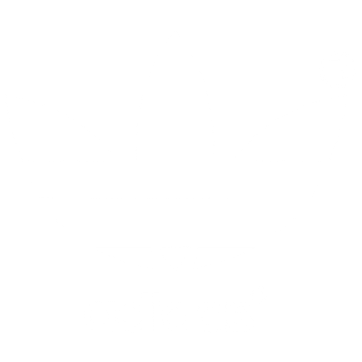 adidas skateboarding