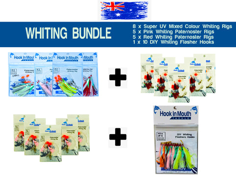 How to Catch King George Whiting in Winter TING – Hook in Mouth Tackle